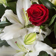 Romantic Florist Choice Flower Bouquet - Your Heart in Bloom