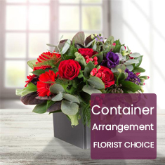 Florist Choice Floral Container Arrangement