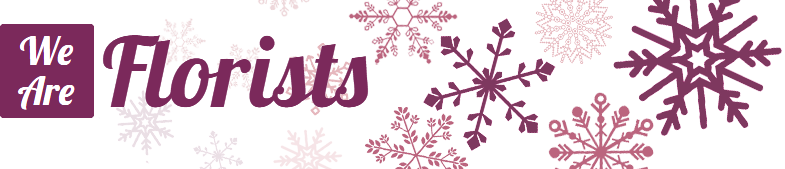 We Are Christmas Florists