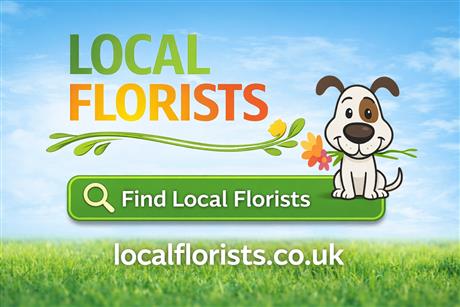 Local Florists screenshot