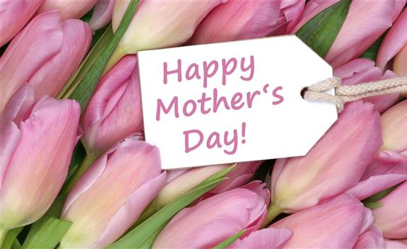 Mother's Day Flowers by Real Florists